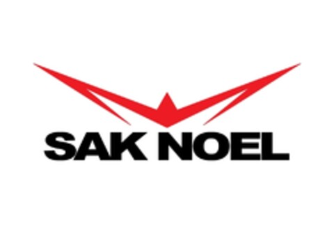 SAK NOEL Logo (EUIPO, 12/19/2012)