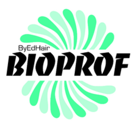 ByEdHairBIOPROF Logo (EUIPO, 10.12.2014)