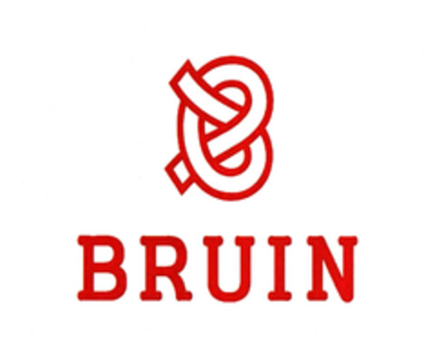 BRUIN Logo (EUIPO, 31.08.2005)