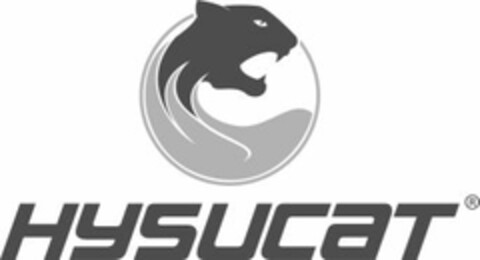 HYSUCAT Logo (EUIPO, 27.10.2006)