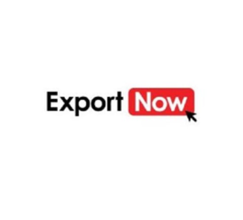 EXPORT NOW Logo (EUIPO, 03.10.2011)