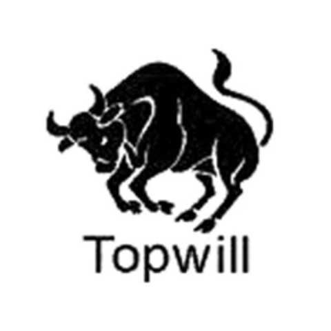 Topwill Logo (EUIPO, 30.01.2013)