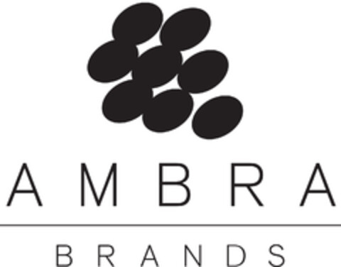 AMBRA BRANDS Logo (EUIPO, 03/25/2019)