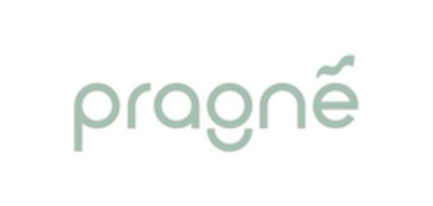 pragne Logo (EUIPO, 12/22/2023)