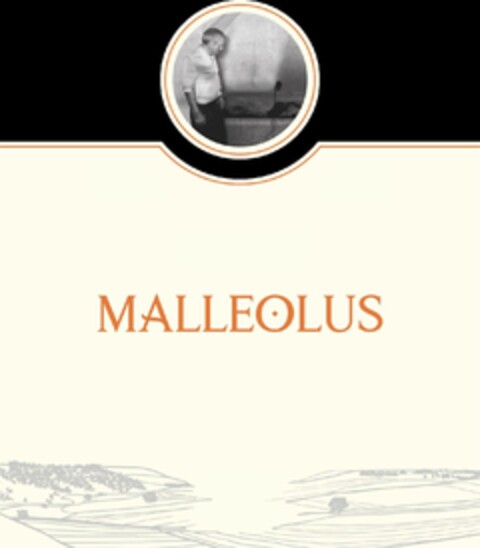 MALLEOLUS Logo (EUIPO, 05.03.2024)
