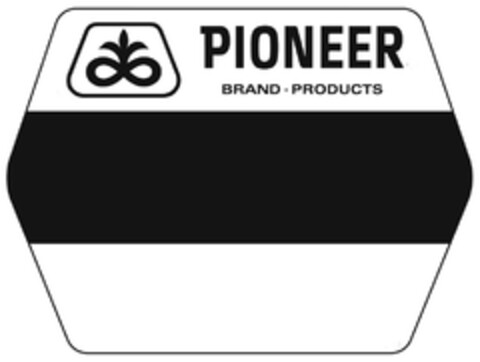 PIONEER BRAND · PRODUCTS Logo (EUIPO, 28.01.2008)