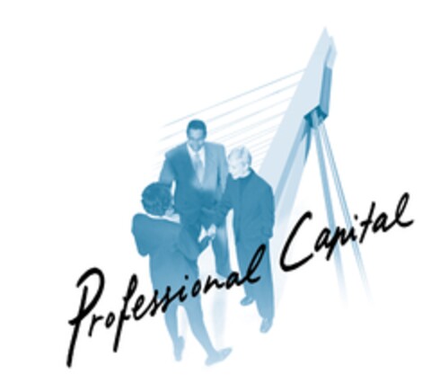 Professional Capital Logo (EUIPO, 13.08.2009)