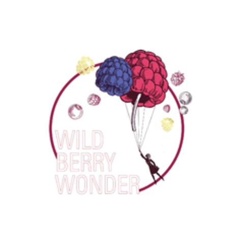WILD BERRY WONDER Logo (EUIPO, 17.10.2019)
