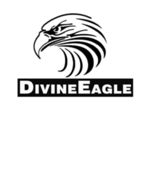 DIVINEEAGLE Logo (EUIPO, 31.01.2023)