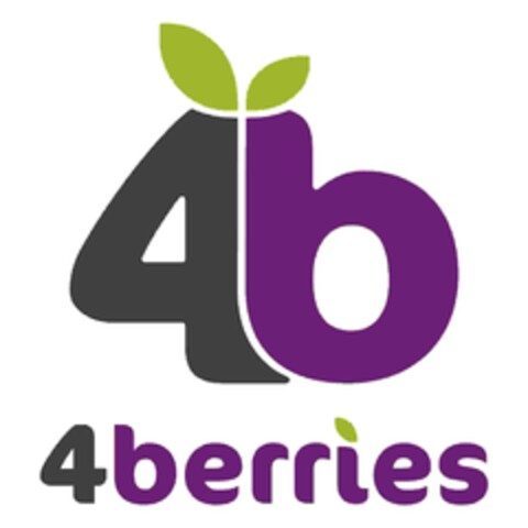 4B 4berries Logo (EUIPO, 09.04.2024)