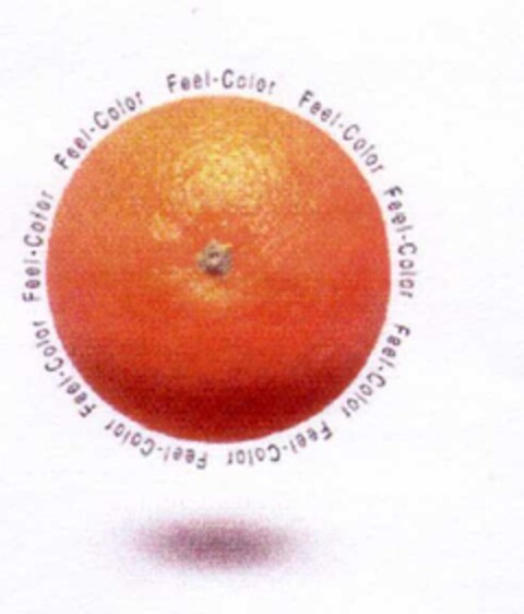 Feel-Color Logo (EUIPO, 10/08/2003)