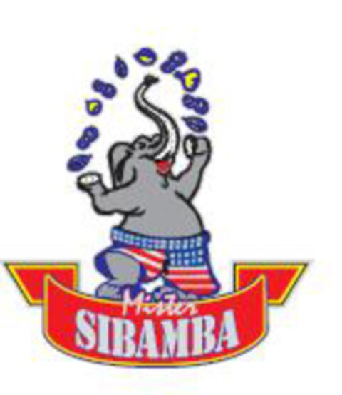Mister SIBAMBA Logo (EUIPO, 24.05.2006)