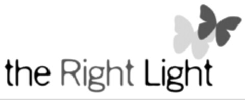 The Right Light Logo (EUIPO, 13.02.2009)