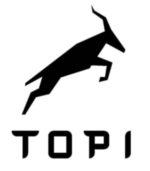 TOPI Logo (EUIPO, 06/20/2016)