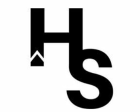 HS Logo (EUIPO, 22.07.2020)