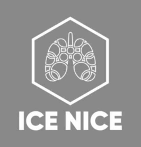 ICE NICE Logo (EUIPO, 21.06.2024)