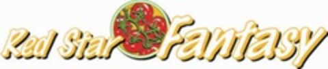 Red Star Fantasy Logo (EUIPO, 05/12/2006)