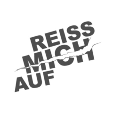 REISS MICH AUF Logo (EUIPO, 03/28/2008)