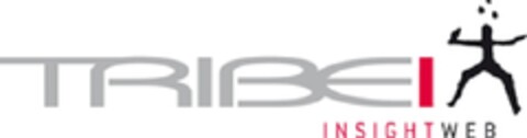 TRIBEI INSIGHTWEB Logo (EUIPO, 02/10/2010)