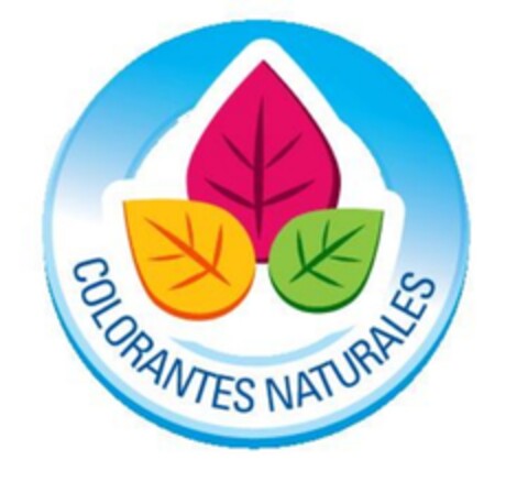 COLORANTES NATURALES Logo (EUIPO, 03/25/2010)