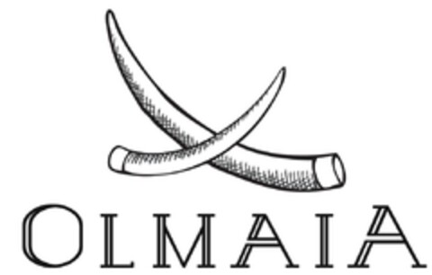 OLMAIA Logo (EUIPO, 07/11/2013)