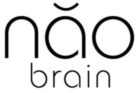 năo brain Logo (EUIPO, 22.01.2018)