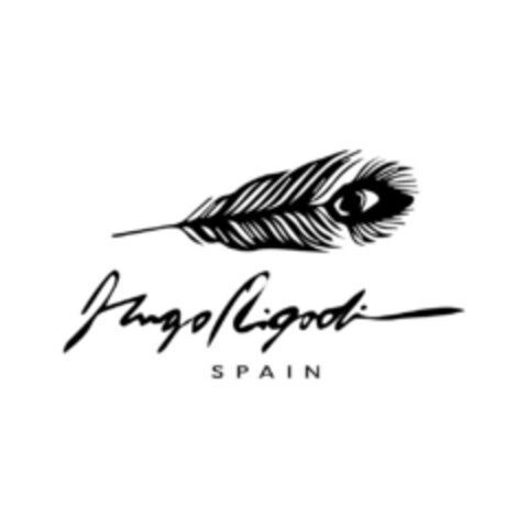 Hugo Rigodi Spain Logo (EUIPO, 31.07.2020)