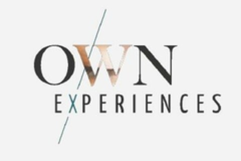 OWN EXPERIENCES Logo (EUIPO, 21.12.2022)