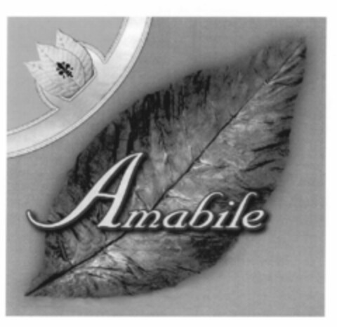 Amabile Logo (EUIPO, 14.06.2001)
