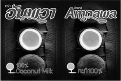 Brand AMPAWA 100% Coconut Milk Logo (EUIPO, 01.03.2013)