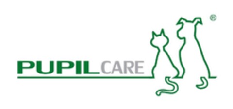 PUPIL CARE Logo (EUIPO, 17.01.2018)