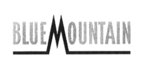 BLUEMOUNTAIN Logo (EUIPO, 23.11.2006)