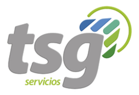 TSG SERVICIOS Logo (EUIPO, 15.06.2020)