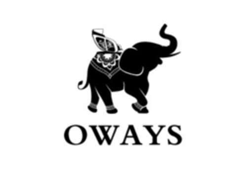 OWAYS Logo (EUIPO, 16.03.2022)