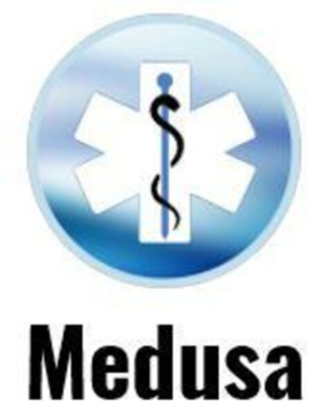 Medusa Logo (EUIPO, 06/13/2022)