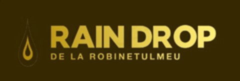 RAIN DROP DE LA ROBINETUL MEU Logo (EUIPO, 02/14/2024)