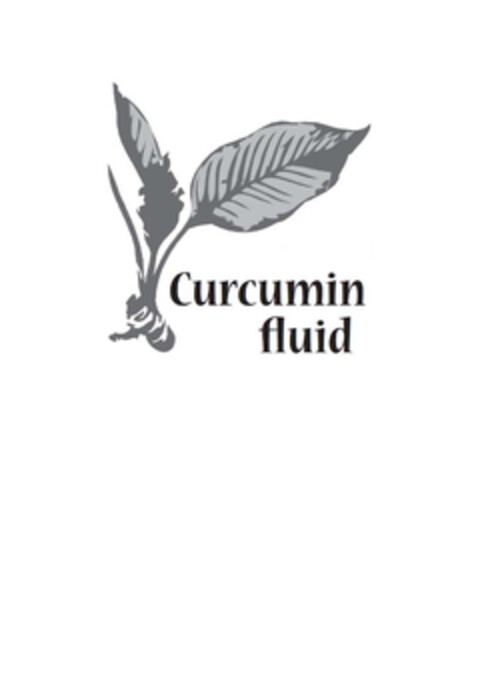 Curcumin fluid Logo (EUIPO, 23.09.2011)