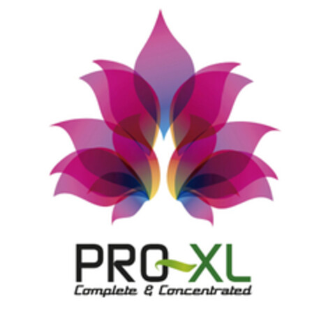 PRO - XL COMPLETE & CONCENTRATED Logo (EUIPO, 04.07.2016)