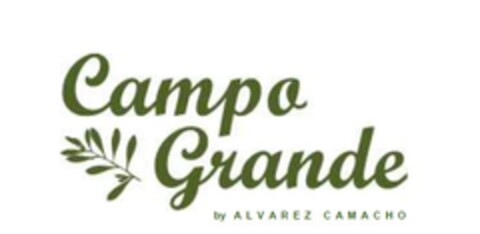 CAMPO GRANDE BY ALVAREZ CAMACHO Logo (EUIPO, 12.06.2019)