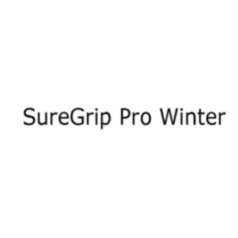 SureGrip Pro Winter Logo (EUIPO, 06/13/2019)