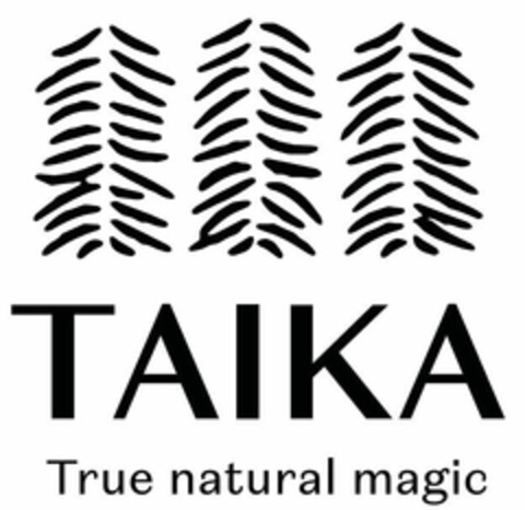 TAIKA True natural magic Logo (EUIPO, 03.08.2020)