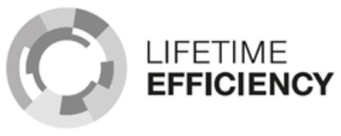 LIFETIME EFFICIENCY Logo (EUIPO, 06/07/2018)