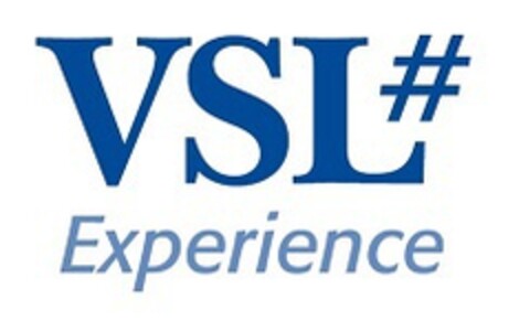 VSL#EXPERIENCE Logo (EUIPO, 25.05.2020)