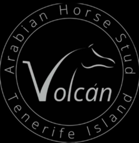 Arabian Horse Stud Volcan Tenerife Island Logo (EUIPO, 26.10.2023)