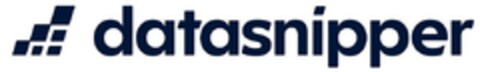 datasnipper Logo (EUIPO, 22.12.2023)