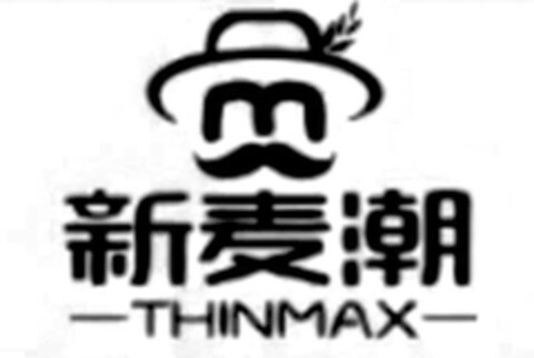 THINMAX Logo (EUIPO, 19.03.2024)