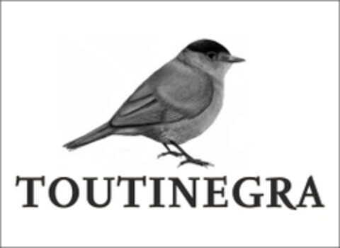 TOUTINEGRA Logo (EUIPO, 18.08.2014)