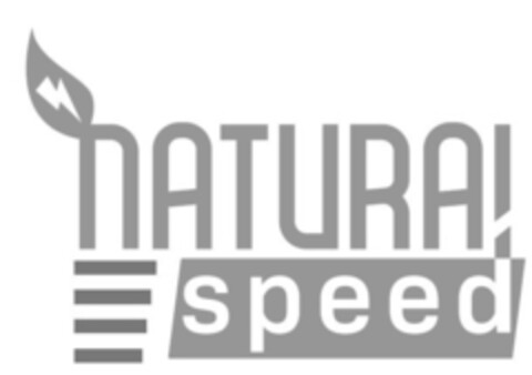 NATURAL SPEED Logo (EUIPO, 09/20/2019)