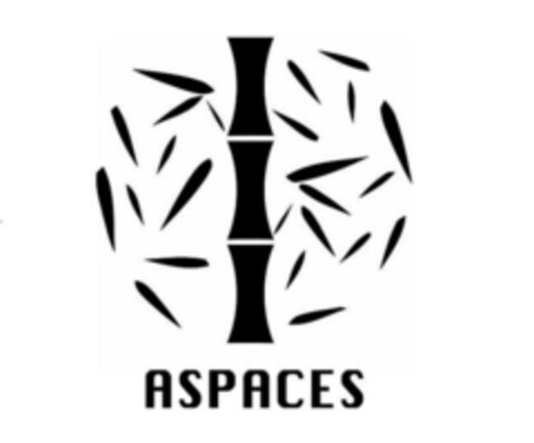 ASPACES Logo (EUIPO, 18.12.2019)