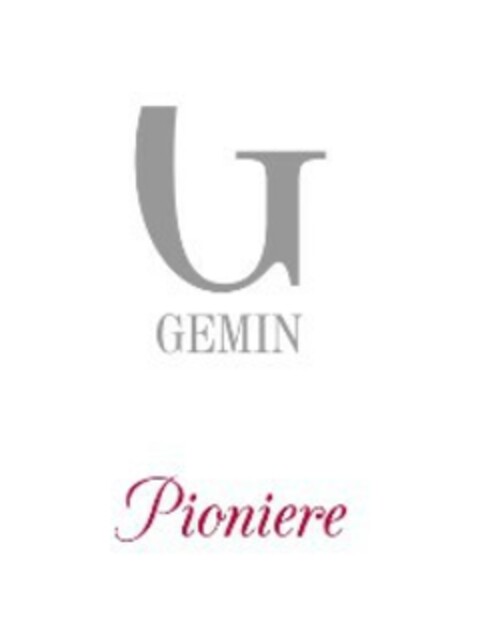 G GEMIN Pioniere Logo (EUIPO, 28.02.2020)